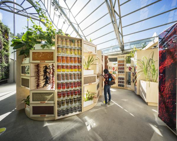 Sweet Addiction Exhibition Royal Botanical Garden, Royal Botanical Garden Sydney, Museum fitout Australia